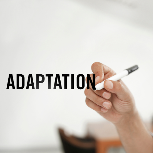 Prestation sur mesure